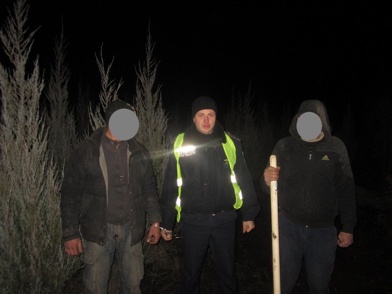 У Васильківському районі поліцейські "на гарячому" затримали чотирьох крадіїв туй