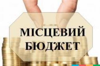 Платники єдиного податку внесли до місцевих бюджетів Васильківщини понад 48,4 млн. гривень