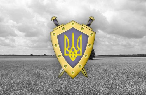 Прокуратура  вимагає повернути державі 2 га земель  Васильківського району