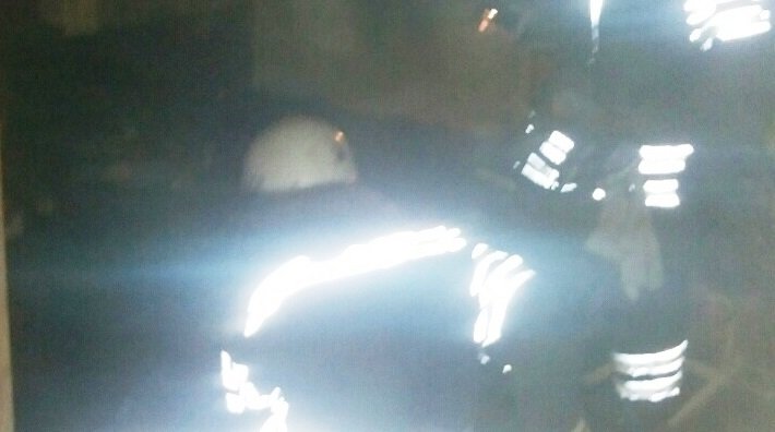 У Василькові пожежа забрала життя двох людей