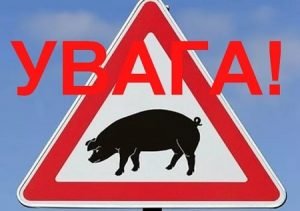 ДО УВАГИ МЕШКАНЦІВ МІСТА ВАСИЛЬКОВА!