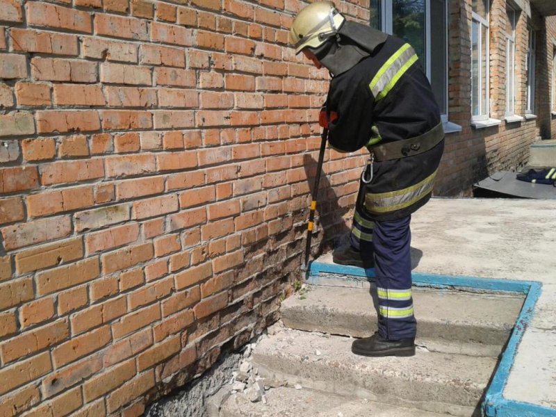 До дитячого садочку на Васильківщині заповзла змія