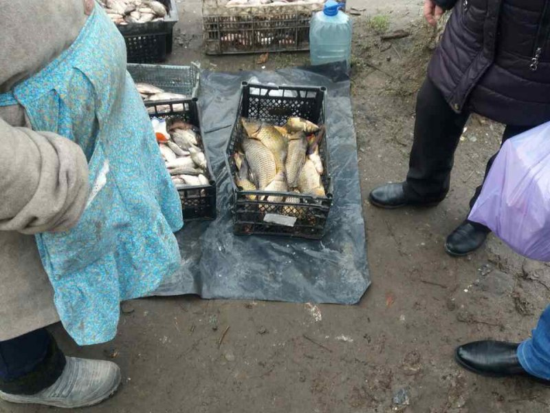 Для боротьби з несанкціонованою торгівлею працівники Васильківського відділу поліції провели оперативно-профілактичне відпрацювання.