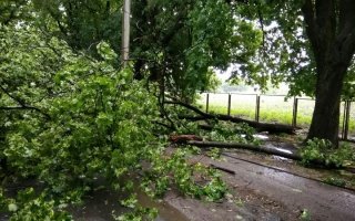 В Василькове Киевской области ураганом были повреждены кровли восьми зданий.
