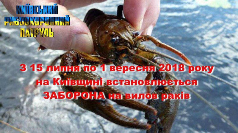 Запрет на лов раков