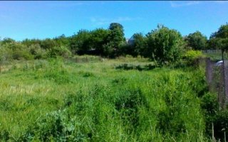 Видатні місця Васильківщини