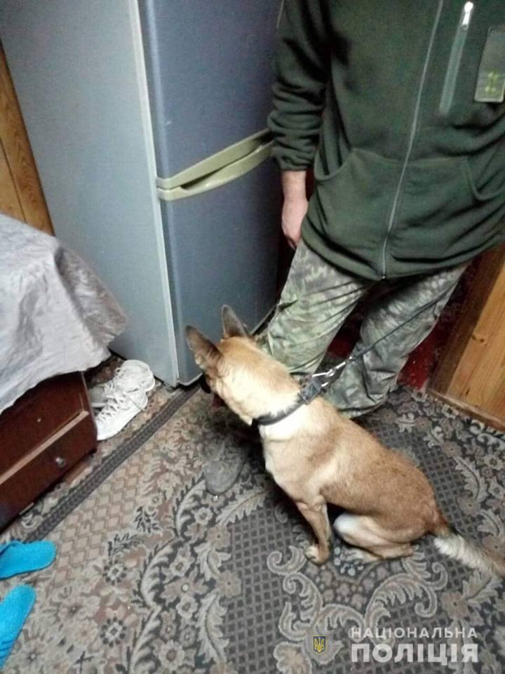 На Васильківщині допоміг знайти наркотики чотирилапий «коп»
