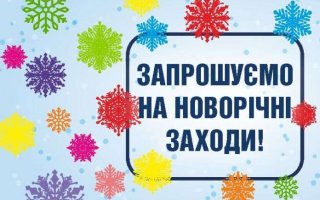 Програма новорічних заходів у Василькові
