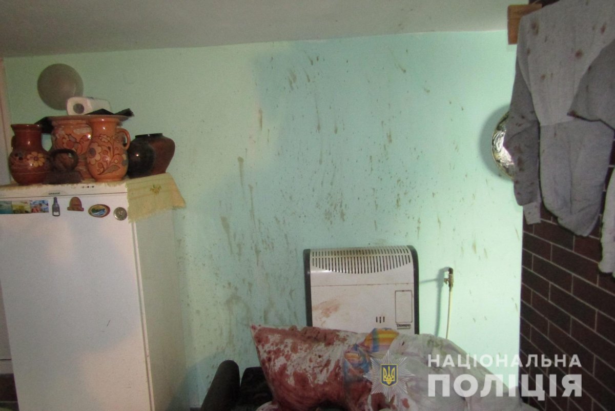 Жителя Васильківщини затримано за вбивство  матері