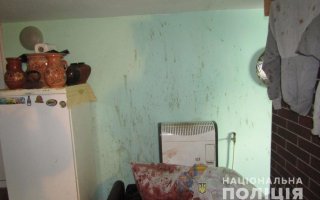 Жителя Васильківщини затримано за вбивство  матері
