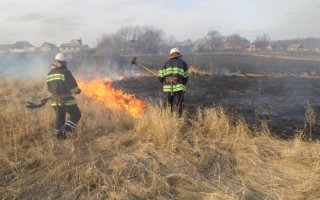 ДСНС закликає громадян не провокувати пожежі у природних екосистемах!