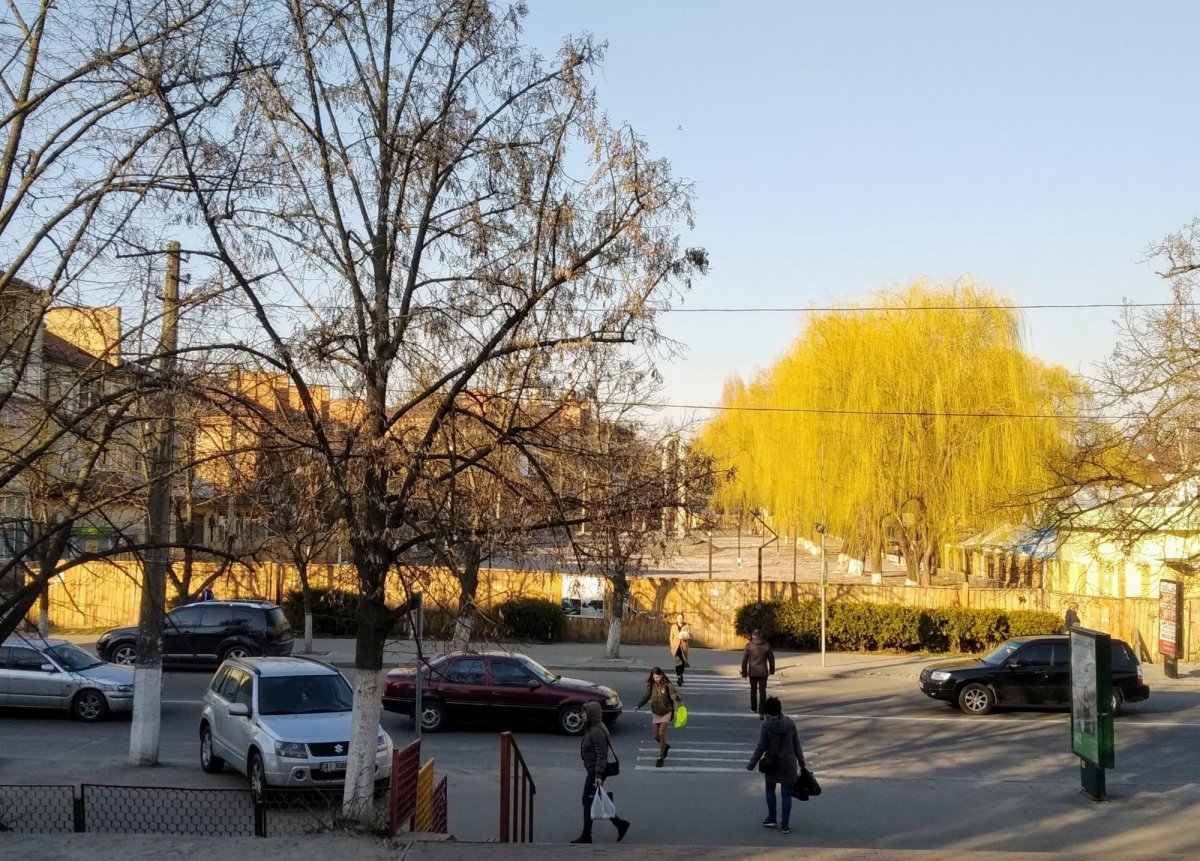 Парк «Венеція» у Василькові чекає коштів з області