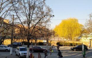 Парк «Венеція» у Василькові чекає коштів з області