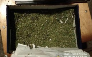 У жителя Глевахи  випадково вдома знайшли дурман-зілля