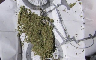 На Васильківщині в 3 громадян вилучено «канабіс»