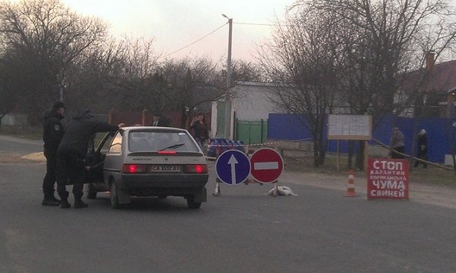 На Васильківщині - карантинні заходи проти африканської чуми свиней