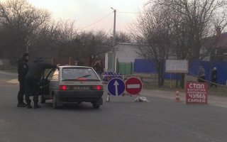 На Васильківщині - карантинні заходи проти африканської чуми свиней