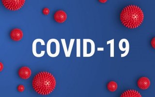 Статистика COVID-19 по Васильківщині