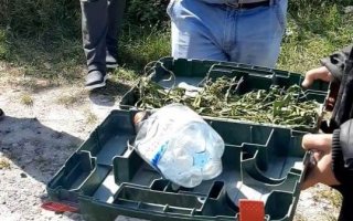 Полицейские Василькова изъяли каннабис у 18 летнего местного юноши