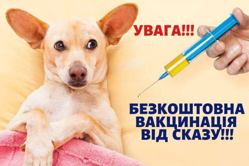 Вакцинація тварин проти сказу в Василькові