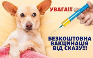 Вакцинація тварин проти сказу в Василькові