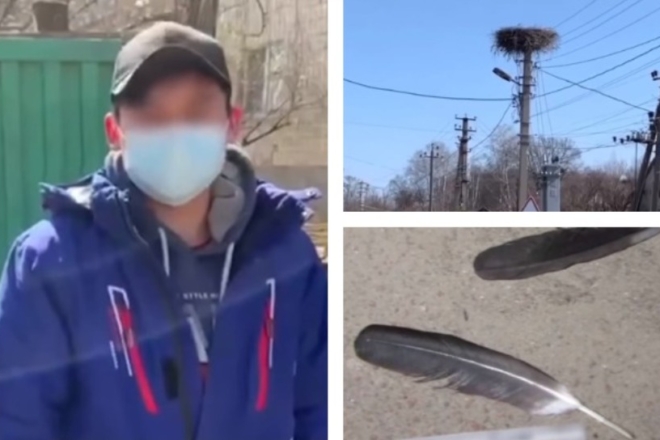 У Василькові молодик застрелив лелеку