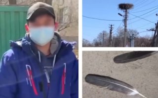 У Василькові молодик застрелив лелеку