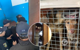 В Василькові в жахливих умовах в квартирі працював "притулок тварин"