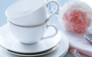 Классификация чашек и их особенности