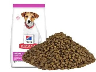 Корм Hill’s – идеальный рацион для кота