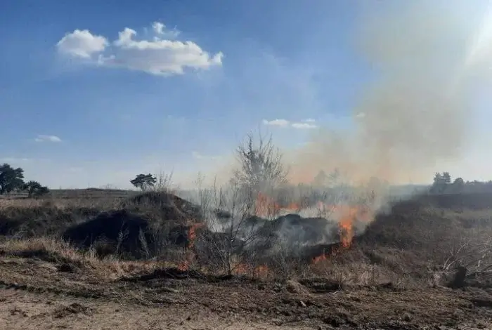 Поблизу міста Васильків підпалили знаменитий Казковий Яр
