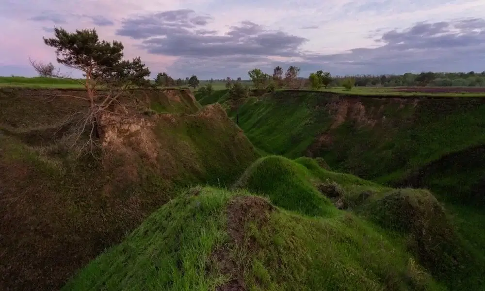 Поблизу міста Васильків підпалили знаменитий Казковий Яр
