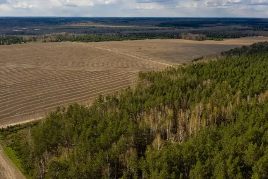 Прокуратура вимагає повернути Васильківській громаді земельні ділянки вартістю 161 млн грн