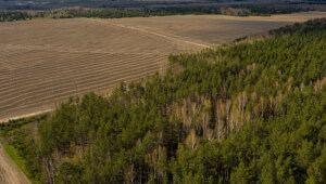 Прокуратура вимагає повернути Васильківській громаді земельні ділянки вартістю 161 млн грн