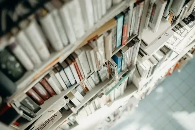 "36 і 6 котів": Чи це просто книга про котів? Розкриваємо глибини історії