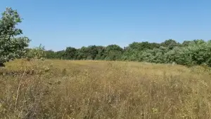 Видатні місця Васильківщини