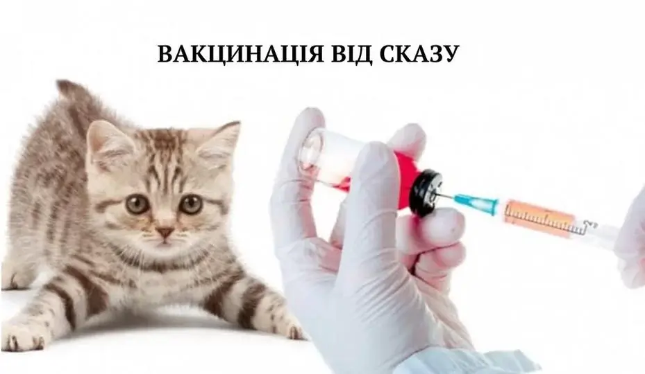 Щеплення тварин від сказу в Василькові
