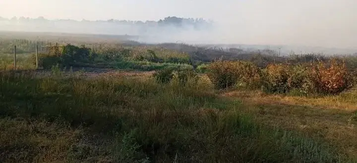 Неподалік міста Василькова ліквідують пожежу на 2 Га